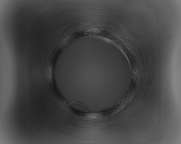 X0000100920708200807151222