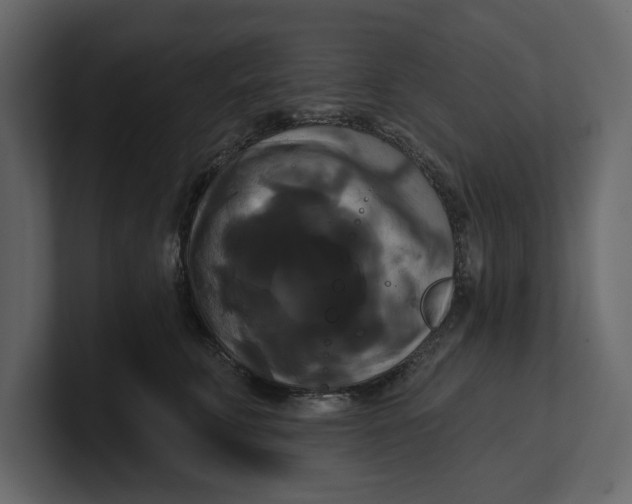 X0000100920711200807151222