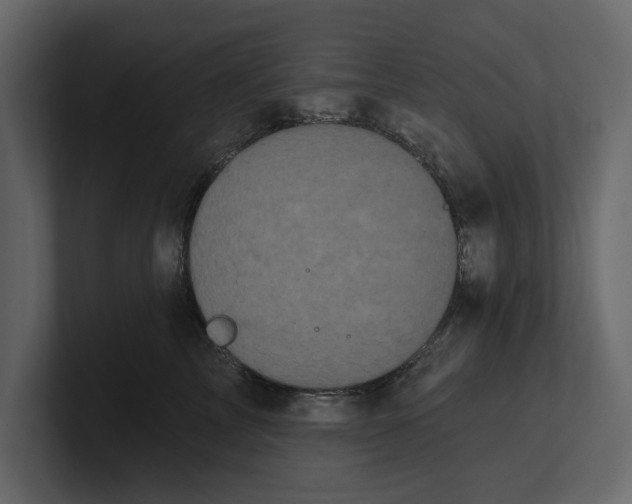 X0000100920713200807151222