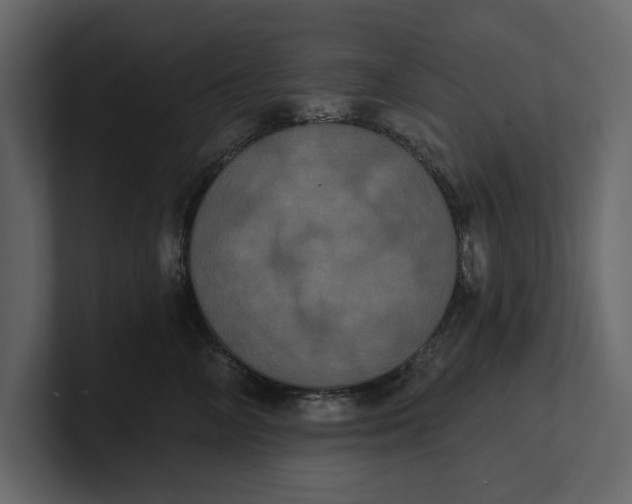 X0000100920714200807151222