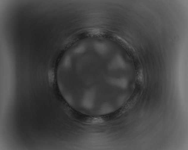 X0000100920715200807151222