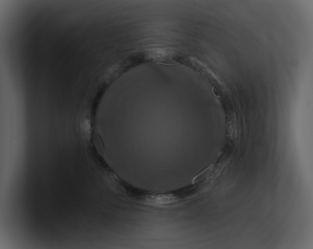 X0000100920716200807151222