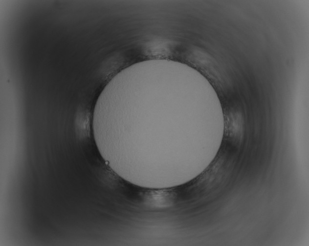 X0000100920717200807151222