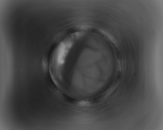 X0000100920718200807151222