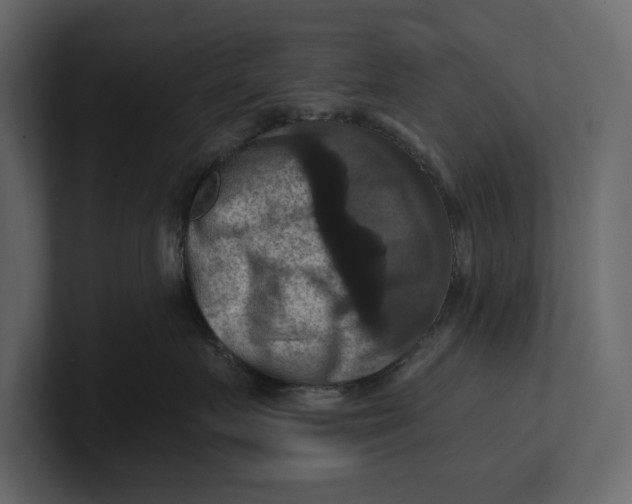 X0000100920719200807151222