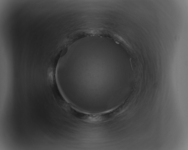 X0000100920720200807151222