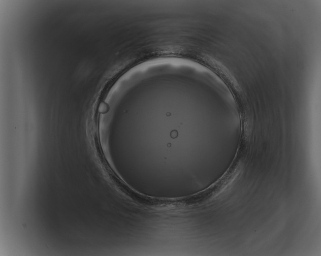 X0000100920721200807151221