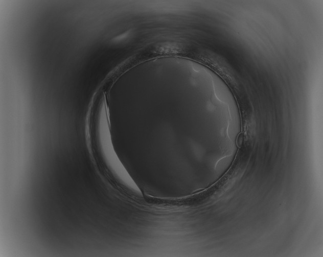 X0000100920722200807151221