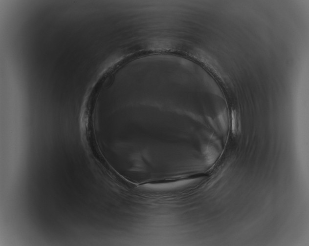 X0000100920723200807151221