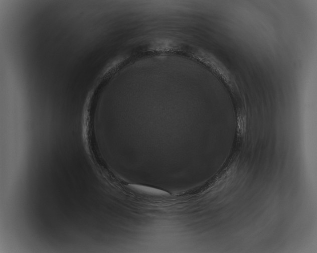 X0000100920724200807151221