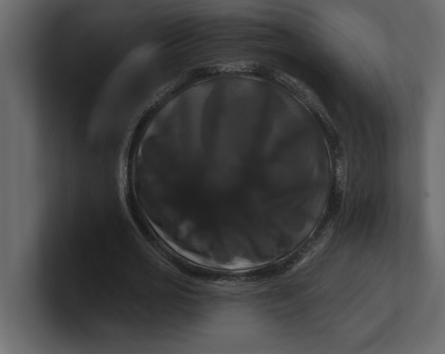 X0000100920725200807151221