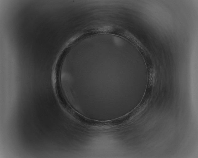 X0000100920726200807151221