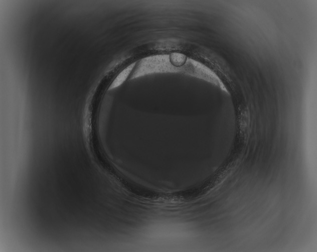 X0000100920727200807151221