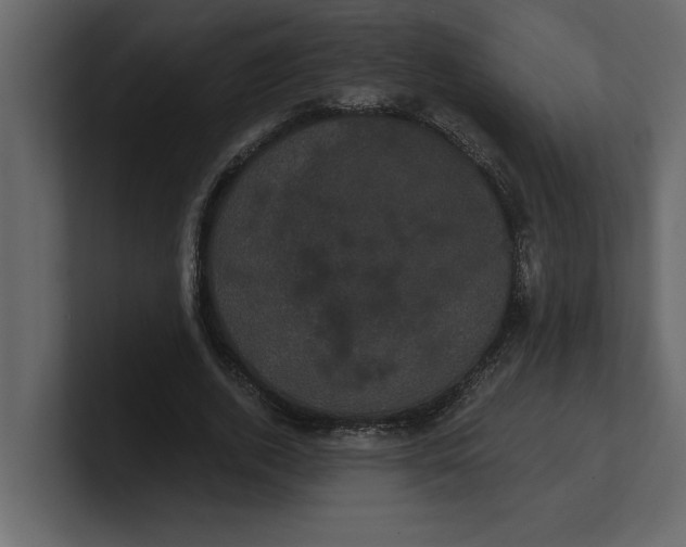 X0000100920728200807151221