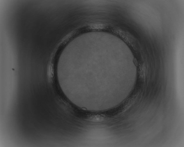 X0000100920731200807151221