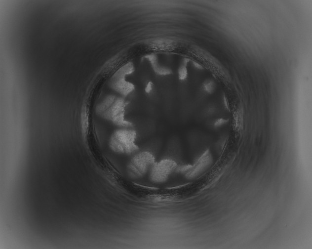 X0000100920733200807151221