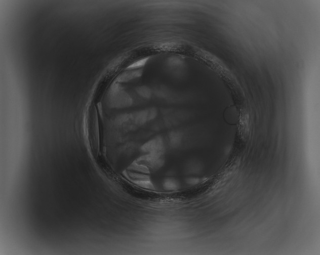 X0000100920734200807151221