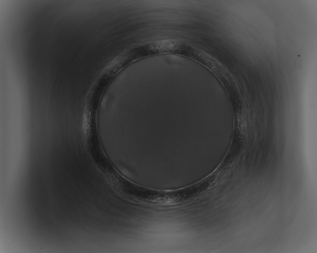 X0000100920735200807151221