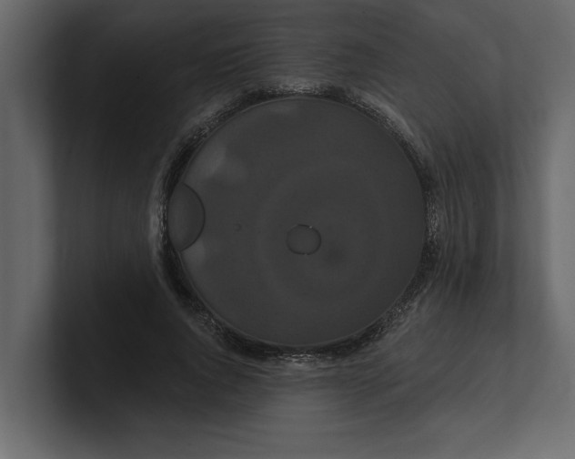 X0000100920736200807151221