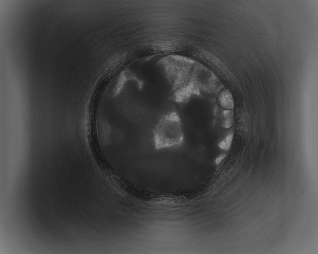 X0000100920738200807151221