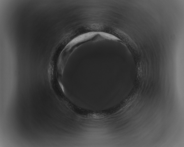 X0000100920739200807151221