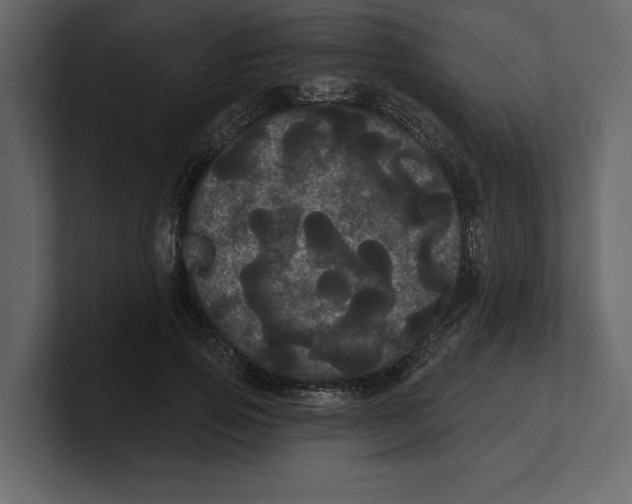 X0000100920741200807151221