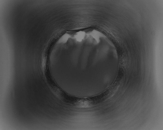 X0000100920742200807151221