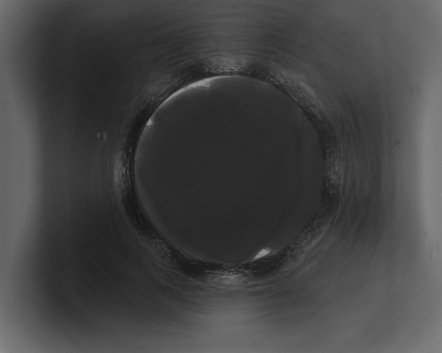 X0000100920743200807151221