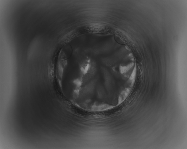 X0000100920745200807151222