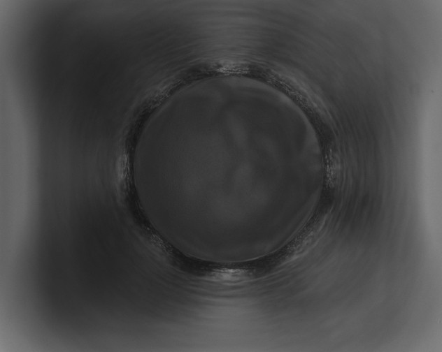 X0000100920748200807151222