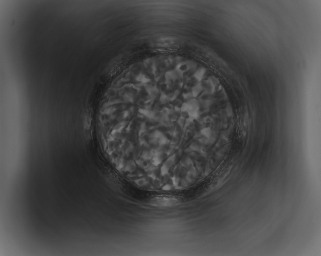 X0000100920749200807151222