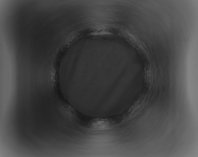 X0000100920750200807151222