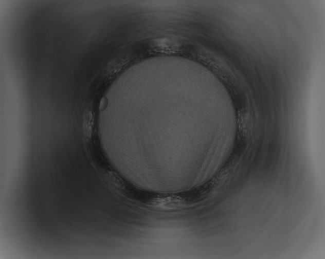 X0000100920752200807151222