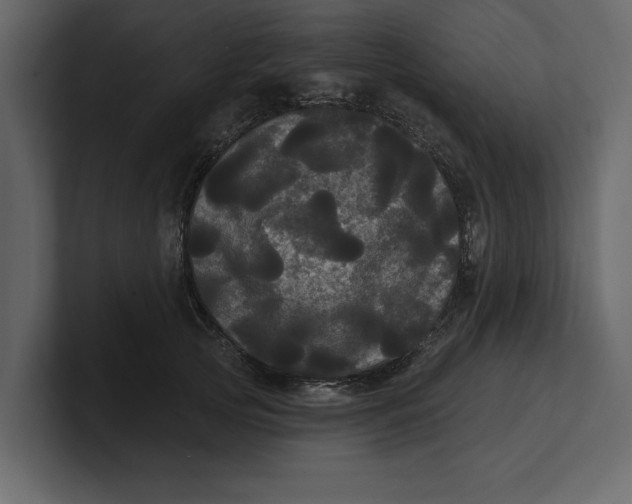 X0000100920753200807151222