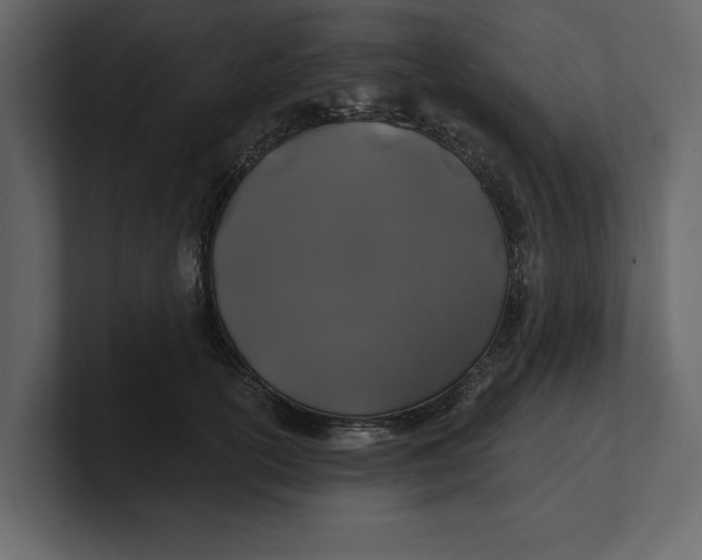 X0000100920754200807151222