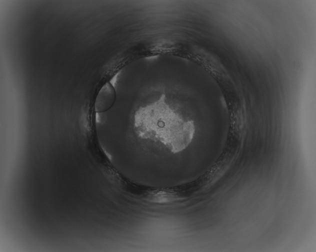 X0000100920755200807151222