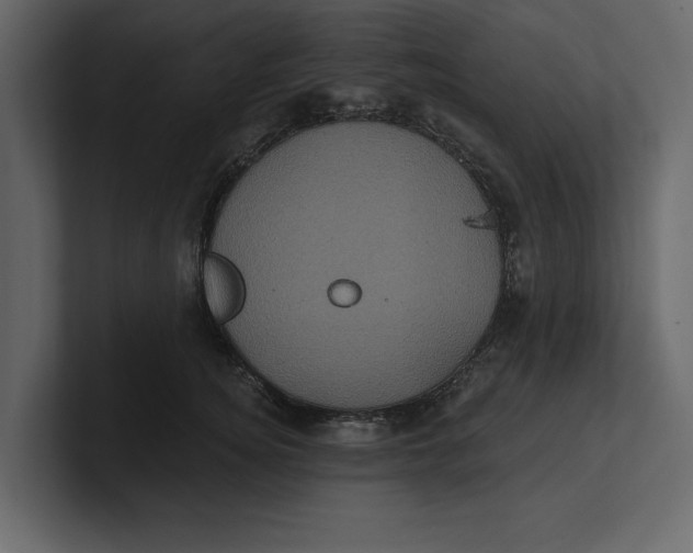 X0000100920756200807151222