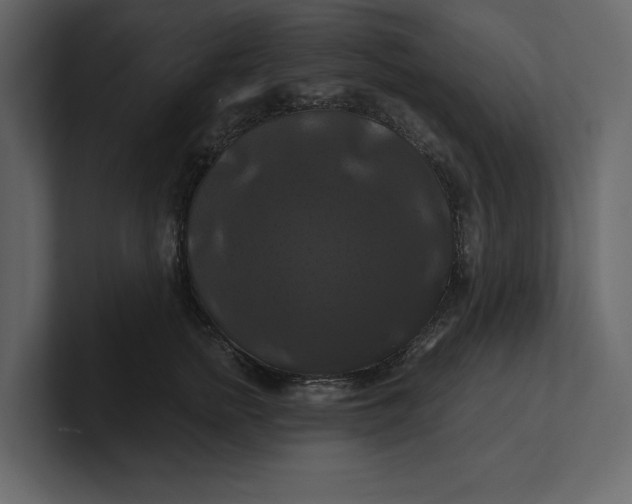 X0000100920758200807151222