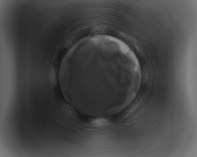 X0000100920759200807151222