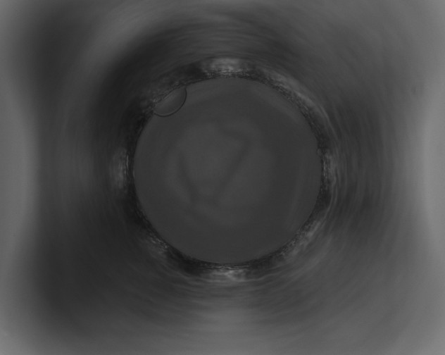 X0000100920760200807151222