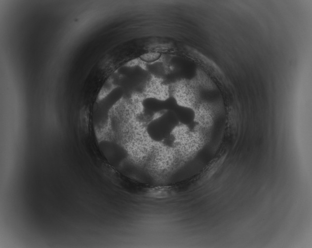 X0000100920761200807151222