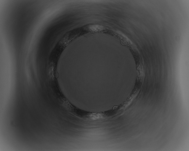 X0000100920762200807151222