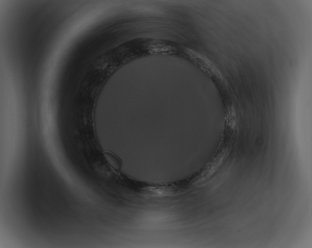 X0000100920763200807151222