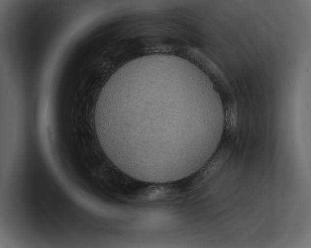 X0000100920764200807151222