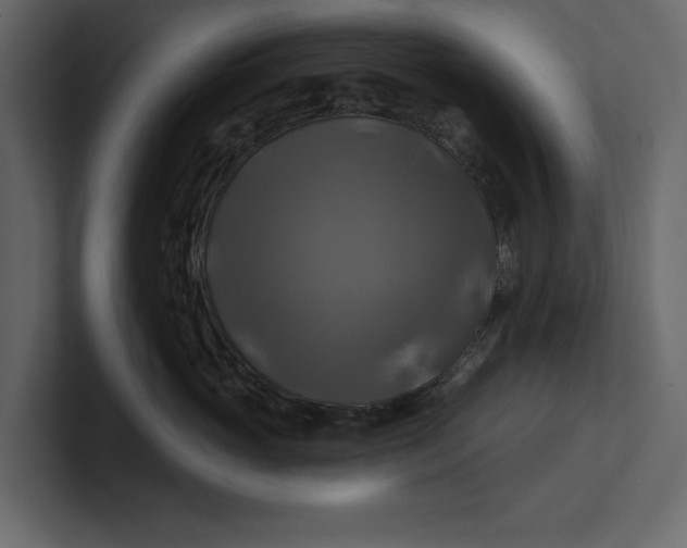 X0000100920765200807151222