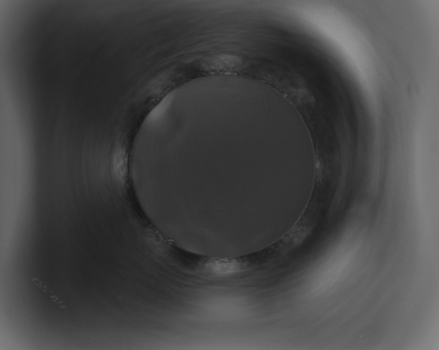 X0000100920767200807151222