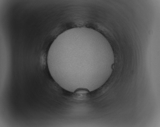 X0000100920768200807151222