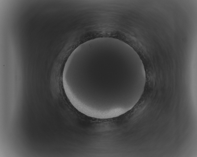 X0000100920769200807151221