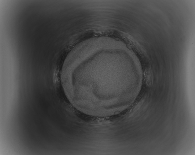 X0000100920770200807151221