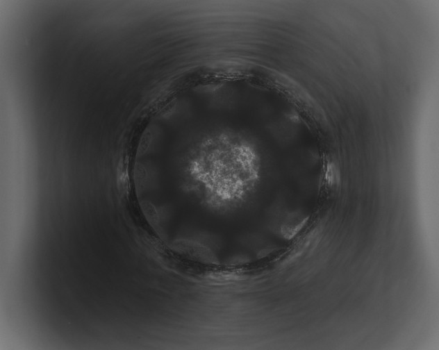 X0000100920771200807151221